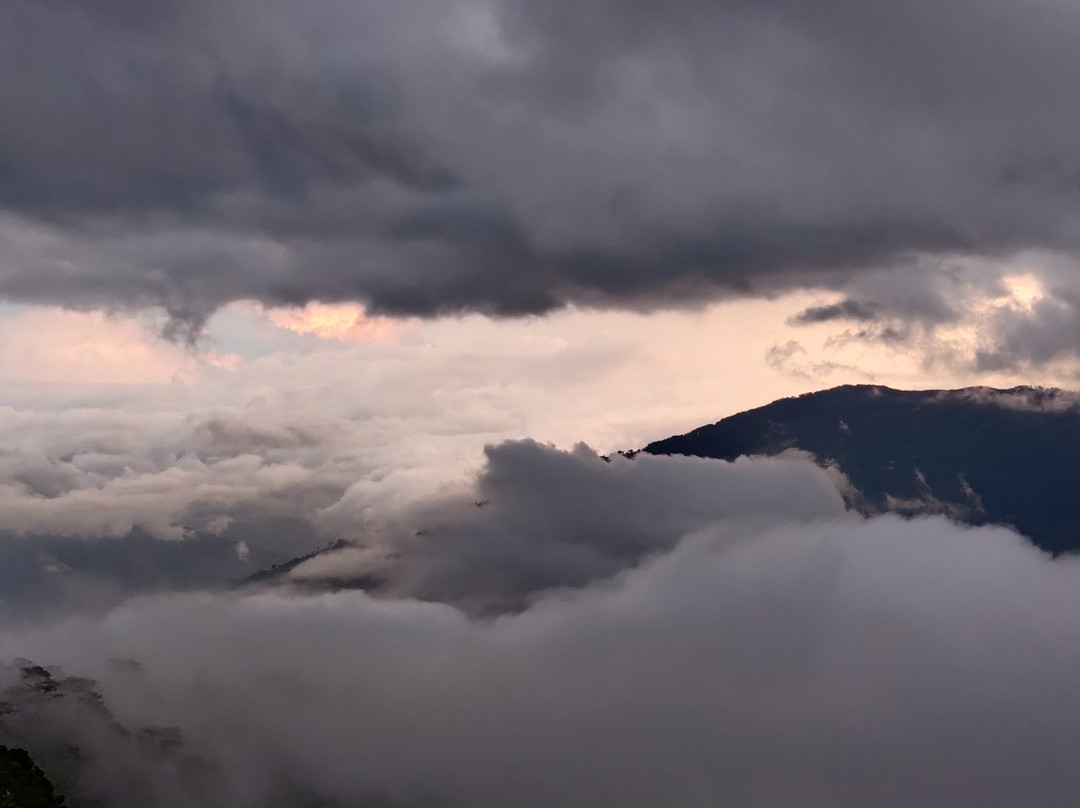 Ging Tea House主图