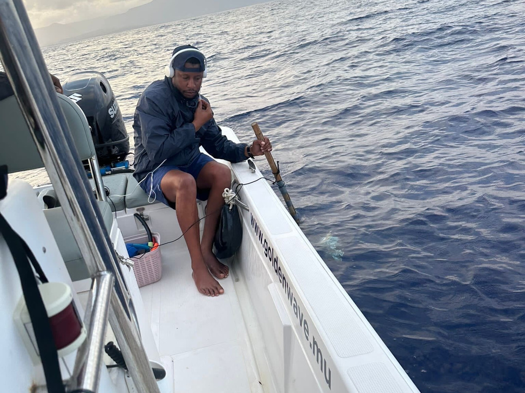 Whale Dream - Swim with Dolphins and Whale watching excursions in Mauritius-黑河必去景点