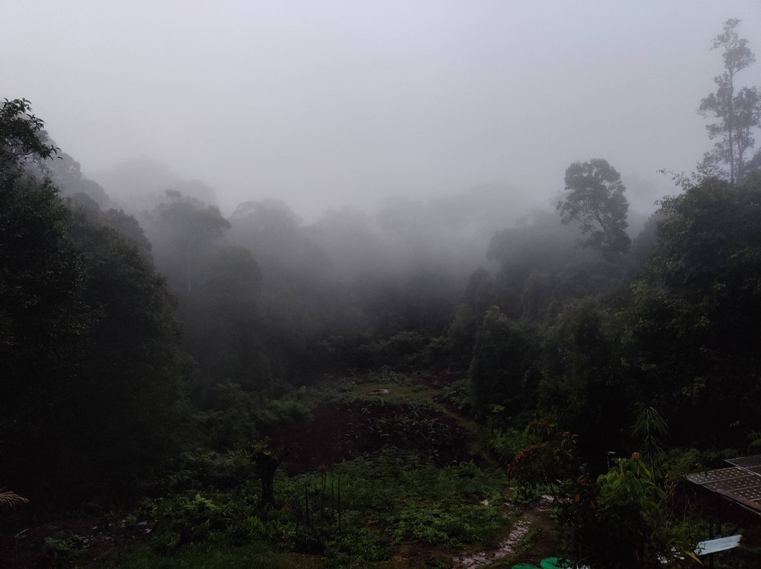 Maliau Basin Conservation Area-斗湖必去景点