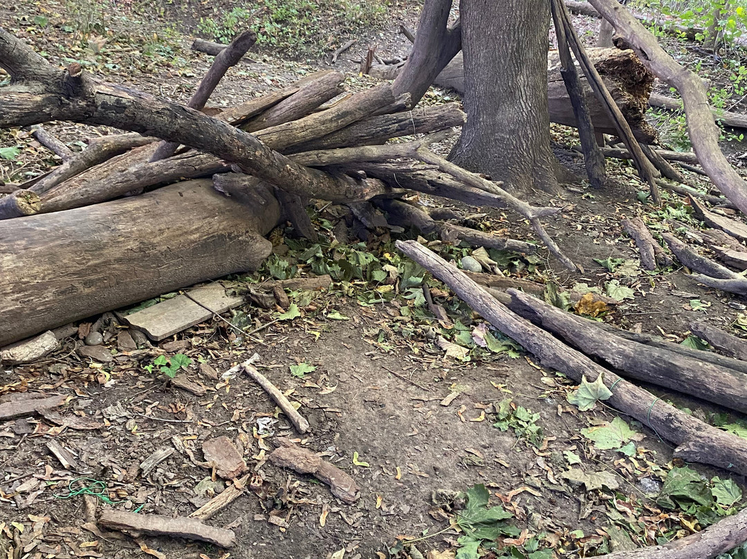 Sunset Beach-圣凯瑟琳斯必去景点