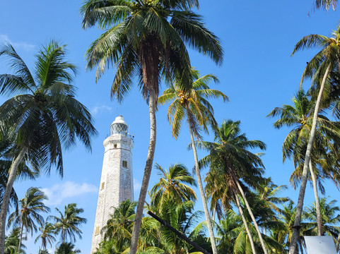 Disfruta Sri Lanka-尼甘布必去景点