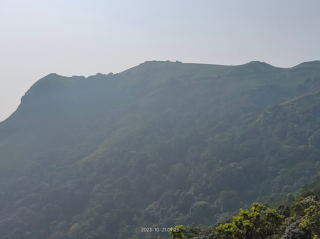 Bandaje Arbi Falls景点图片