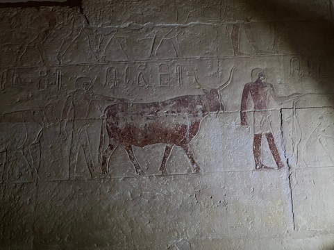 Around Egypt trips-吉萨必去景点