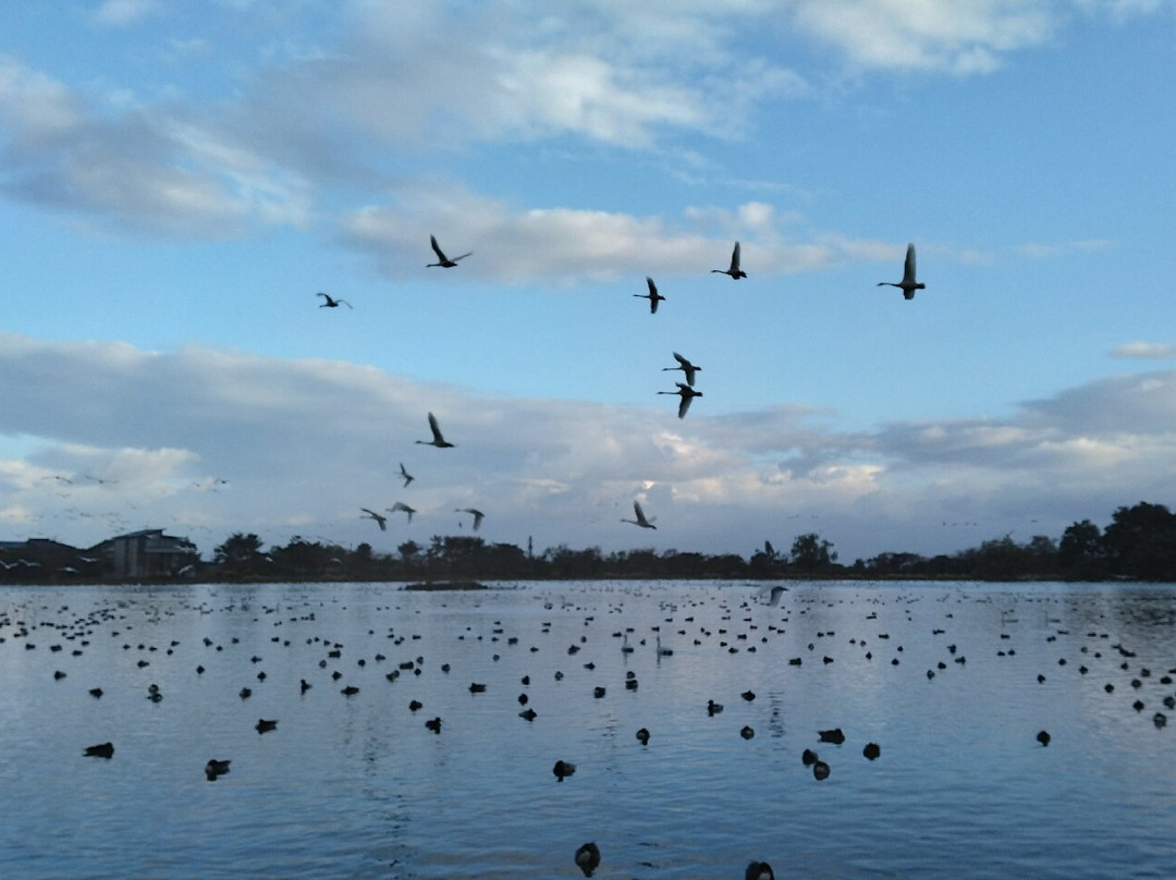Hyokosuikin Park-阿贺野市必去景点