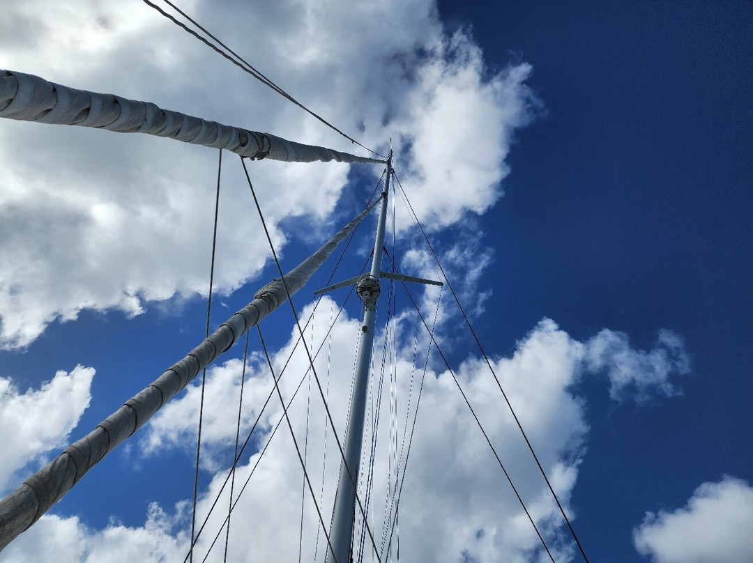 Celine Charters-辛普森湾必去景点