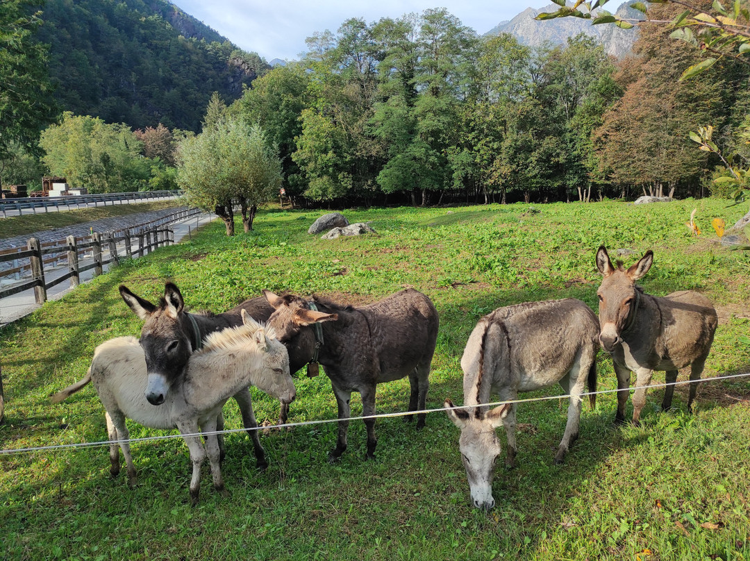 Agriturismo Aqua Fracta主图
