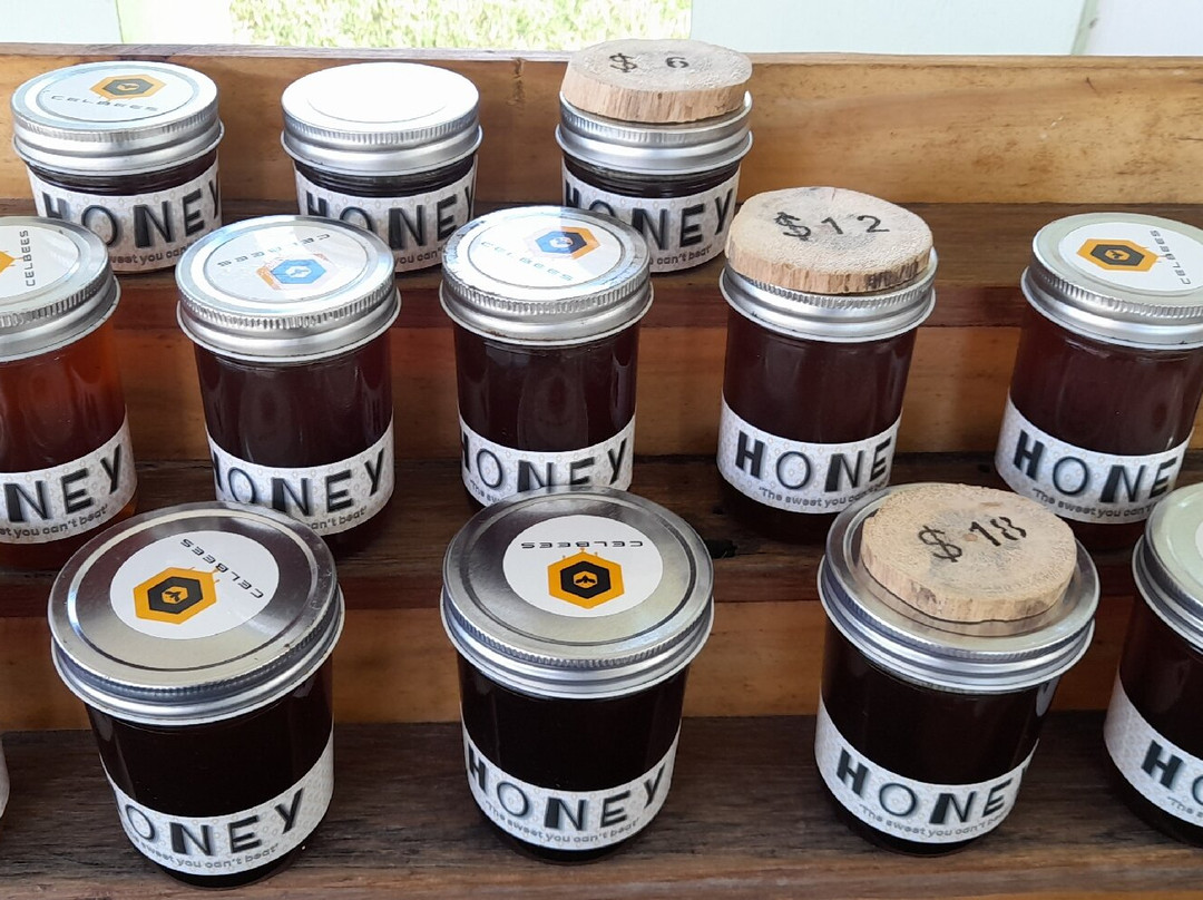 Celbees-Oranjestad必去景点