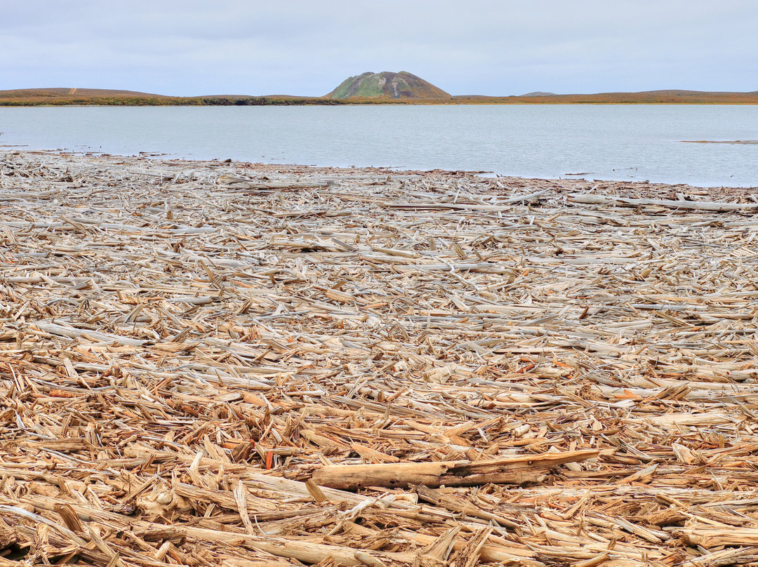 Pingo Canadian Landmark-Tuktoyaktuk必去景点