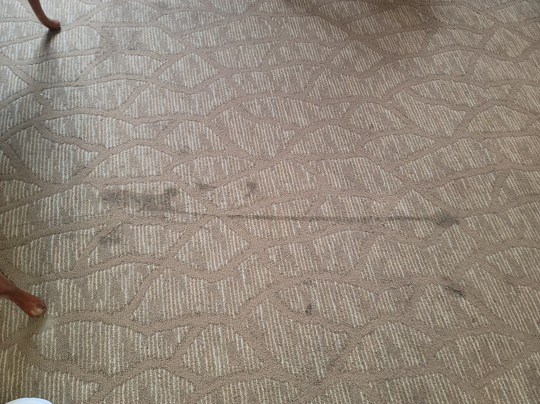 Hawthorn Suites by Wyndham Decatur主图