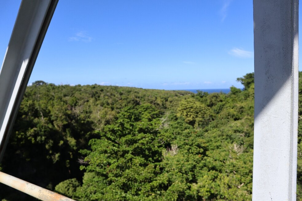 Puente La Bellaca-Quebradillas必去景点