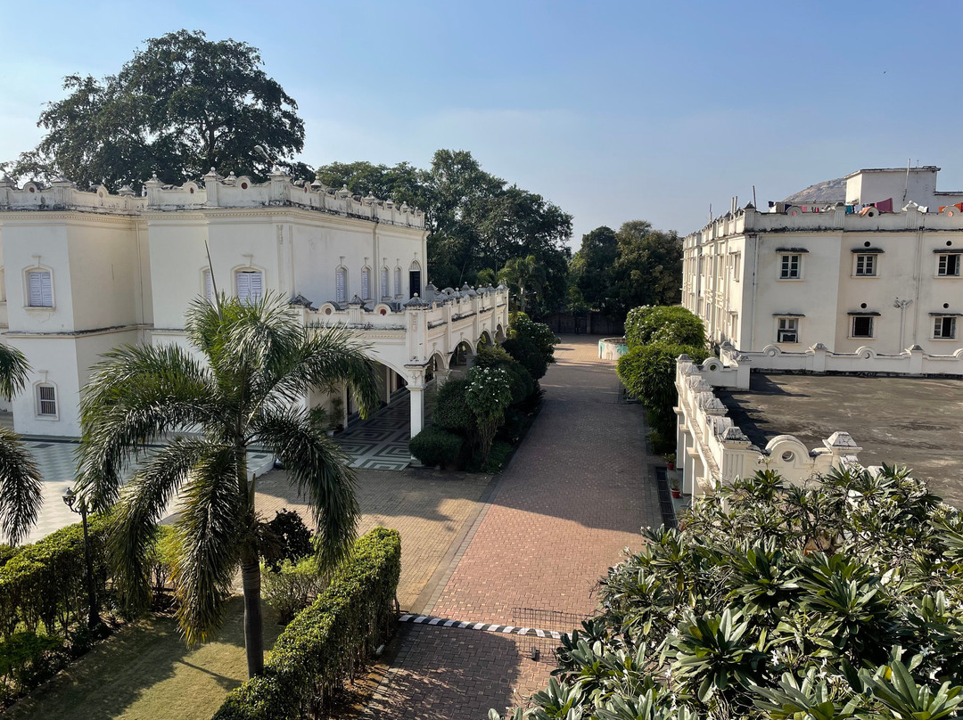 Orangepetal Exotic Nucleus Hill View主图