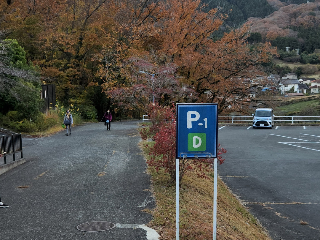 Sagami Lake Resort Pleasure Forest-相模原市必去景点