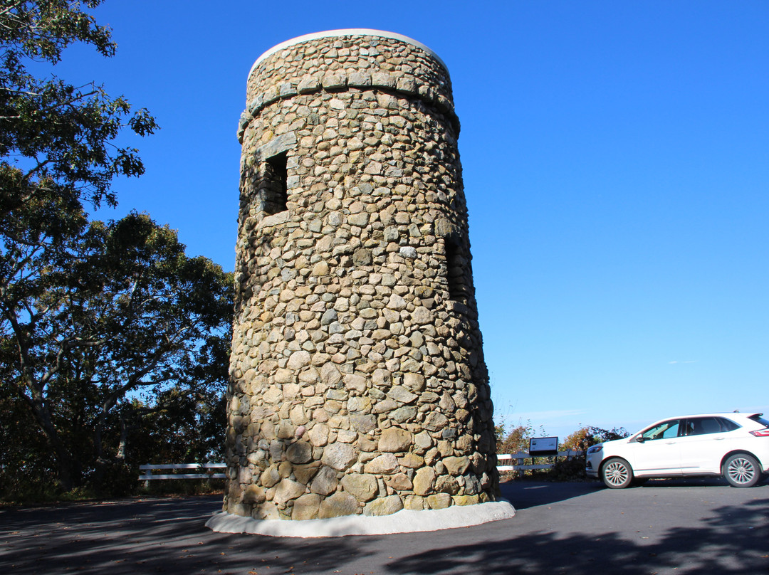 Scargo Tower景点图片