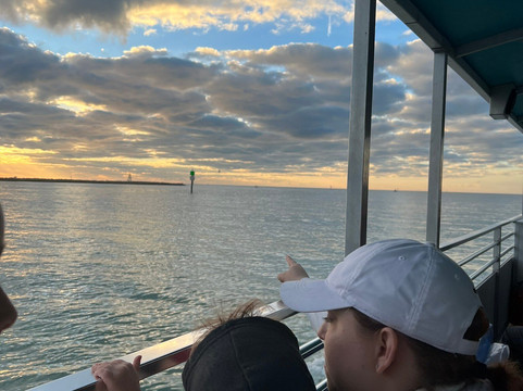 Encounters With Dolphins-克利尔沃特必去景点