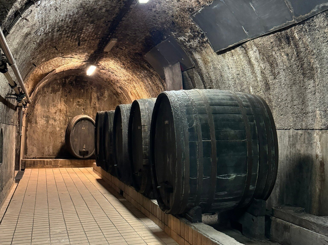 Vinag Wine Cellar-马里博尔必去景点