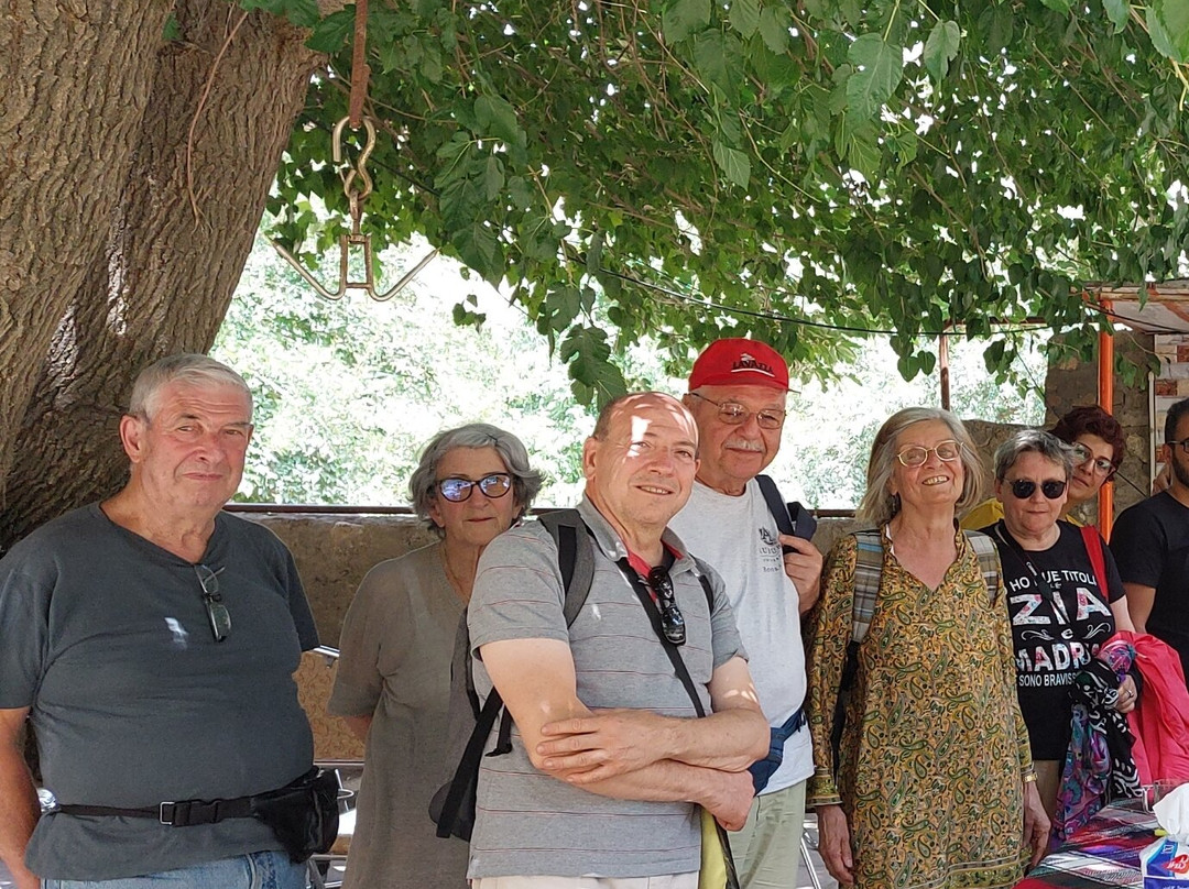 Bisheh Waterfall-Khorramabad必去景点