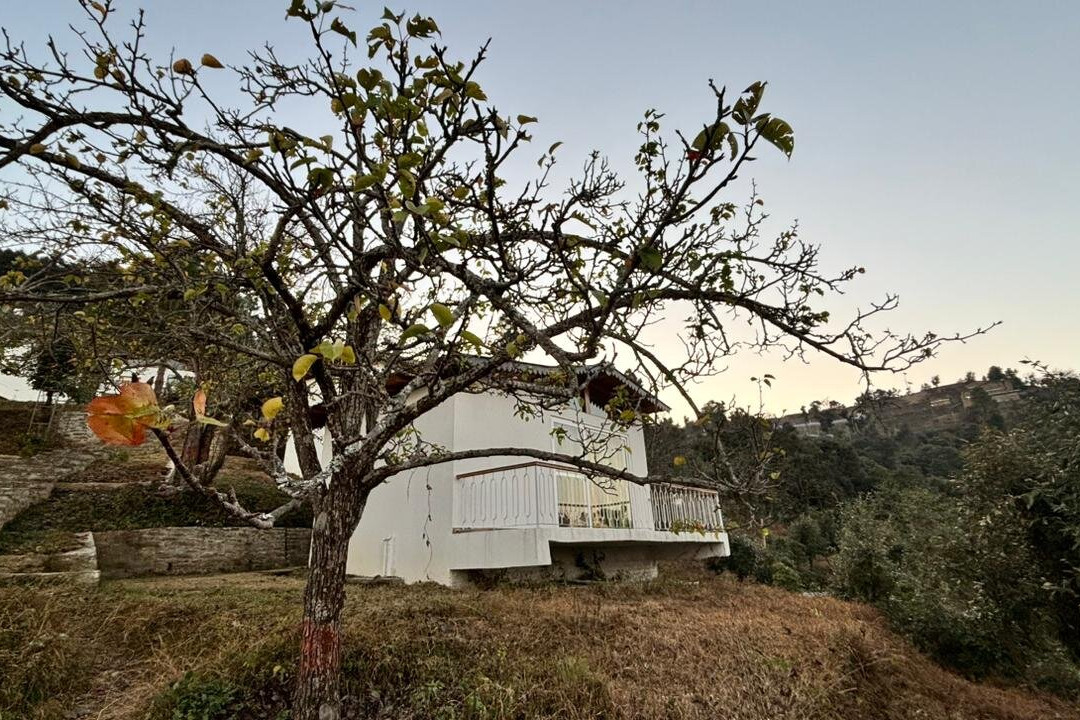 Shivoham Himalayan Resort主图