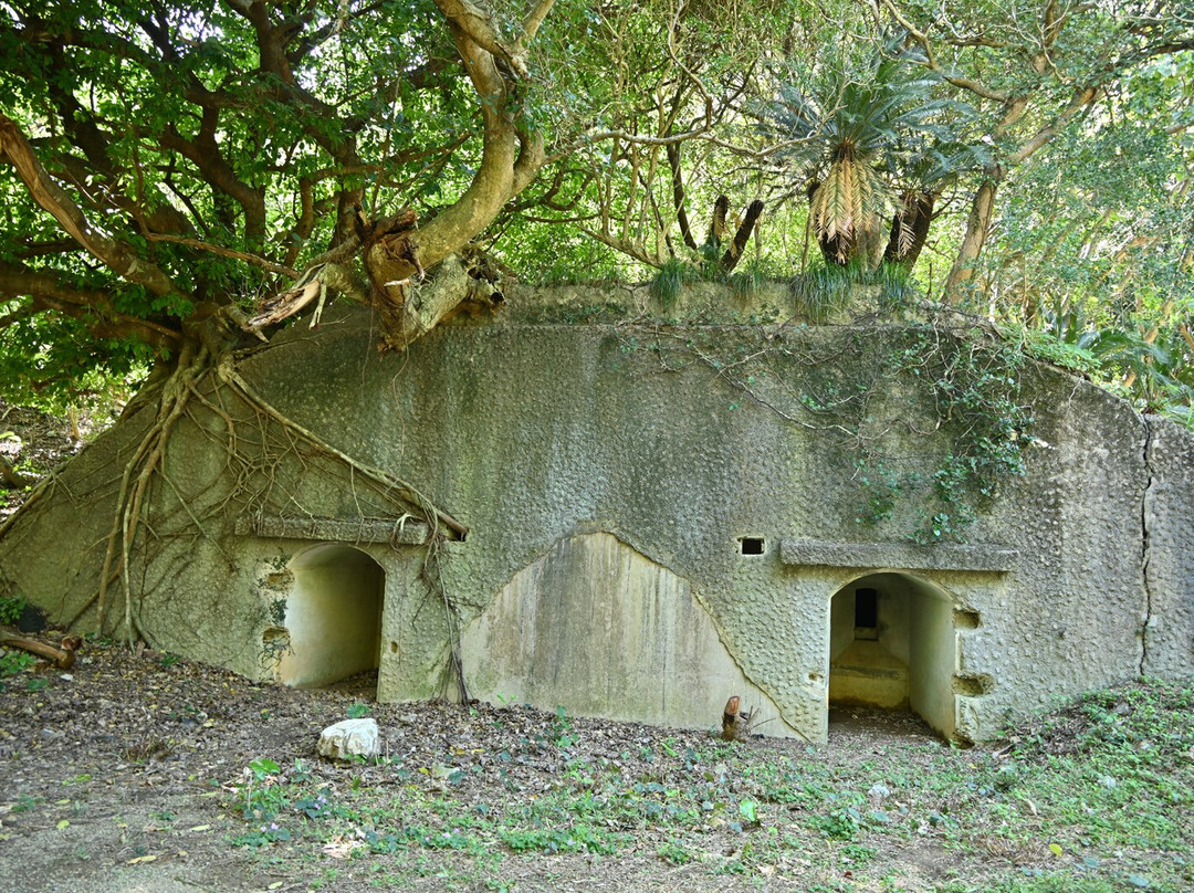 Nishikomi Observatory Site Park景点图片