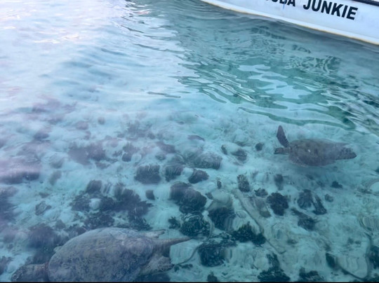 Scuba Junkie Sangalaki主图