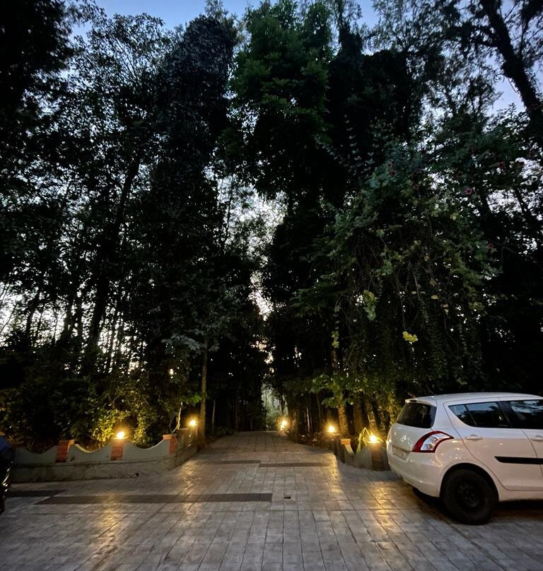 Adrak Mountain Mist Forest Resort主图