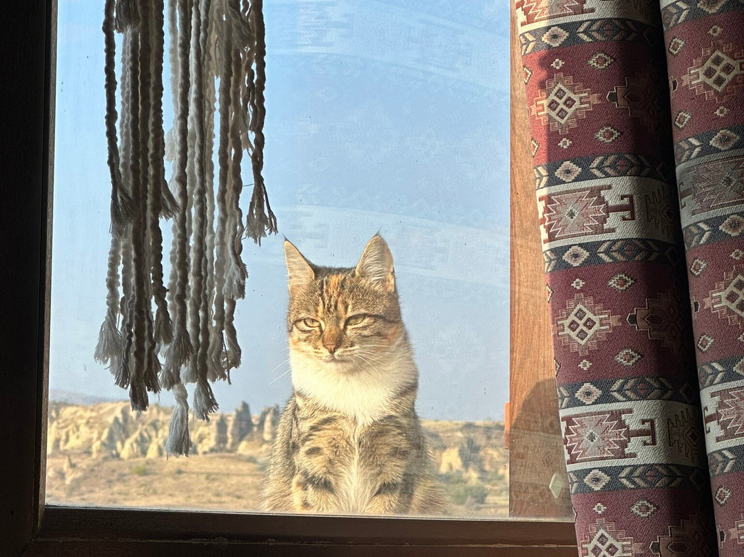 Prime Cappadocia Suites主图