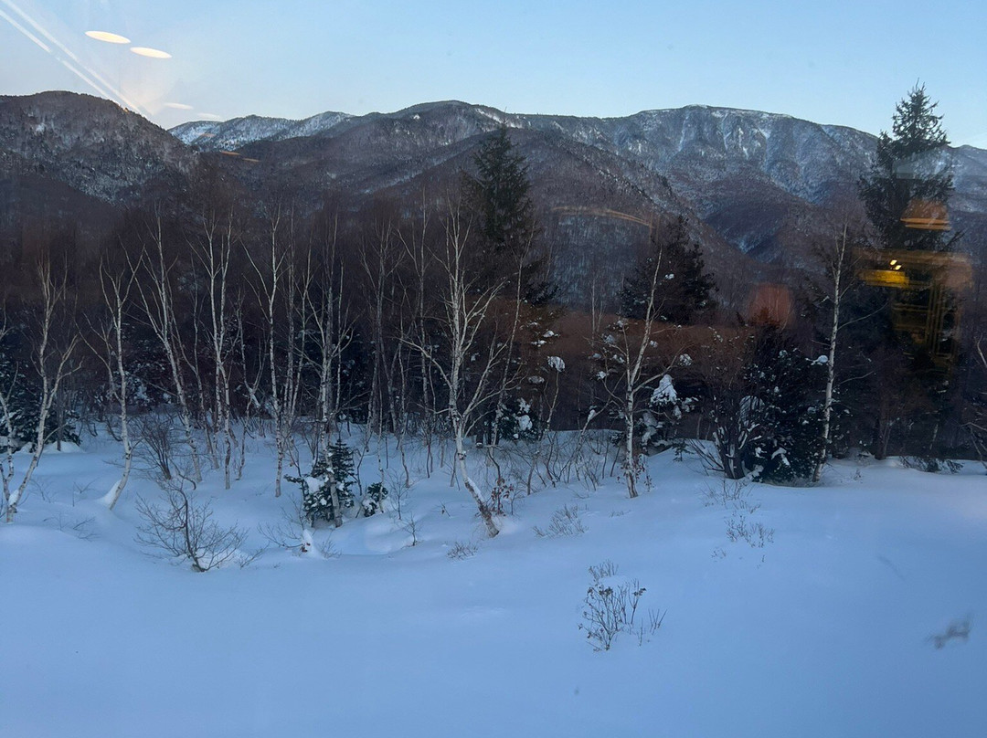 Okushiga Kogen Ski Area景点图片