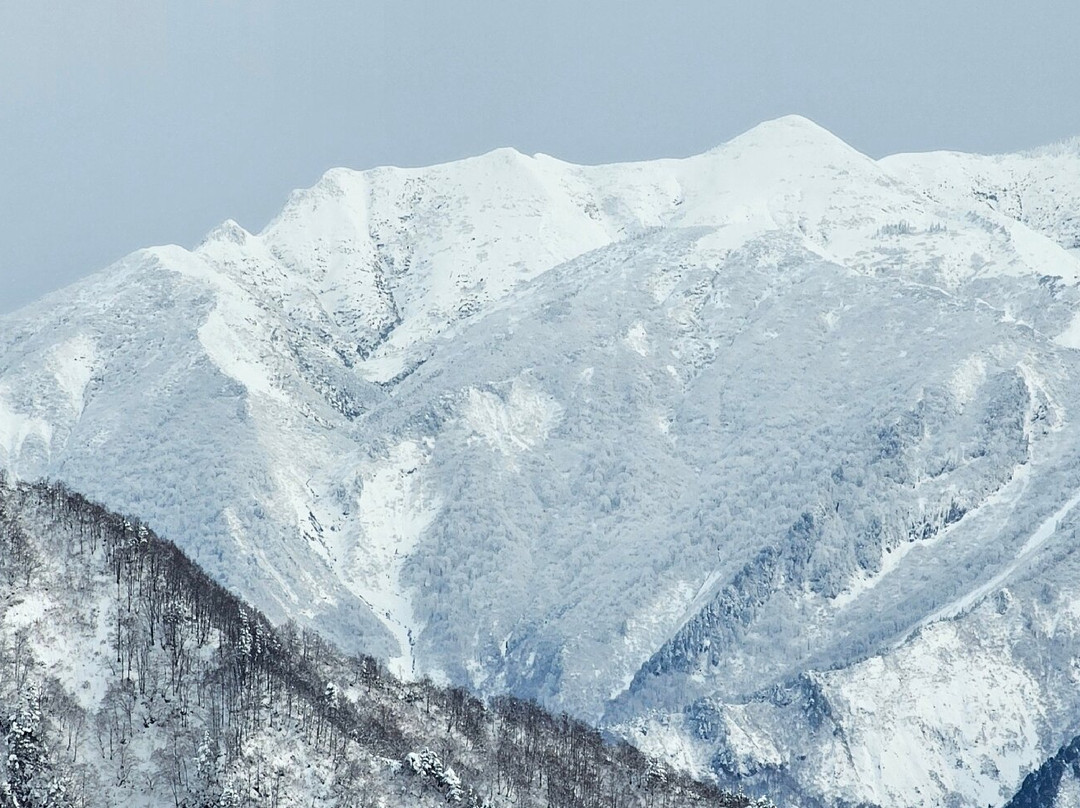 Yuzawa Kogen景点图片