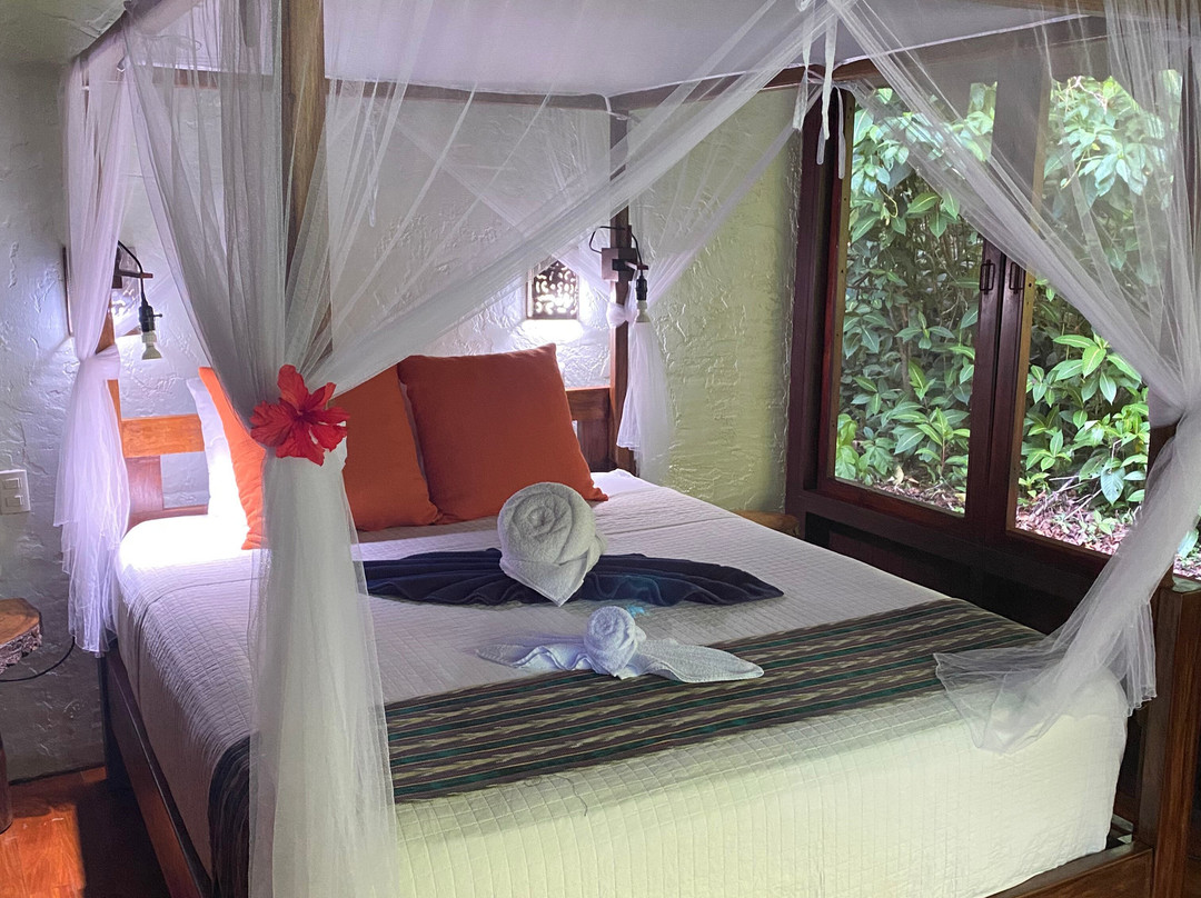 普拉亚尼库伊萨雨林旅馆主图