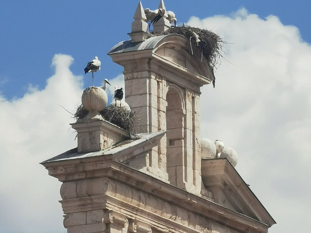 Plaza de Cervantes-阿尔卡拉-德-哈纳雷斯必去景点