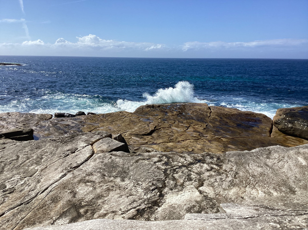 Coogee to Bondi Walking Tours景点图片