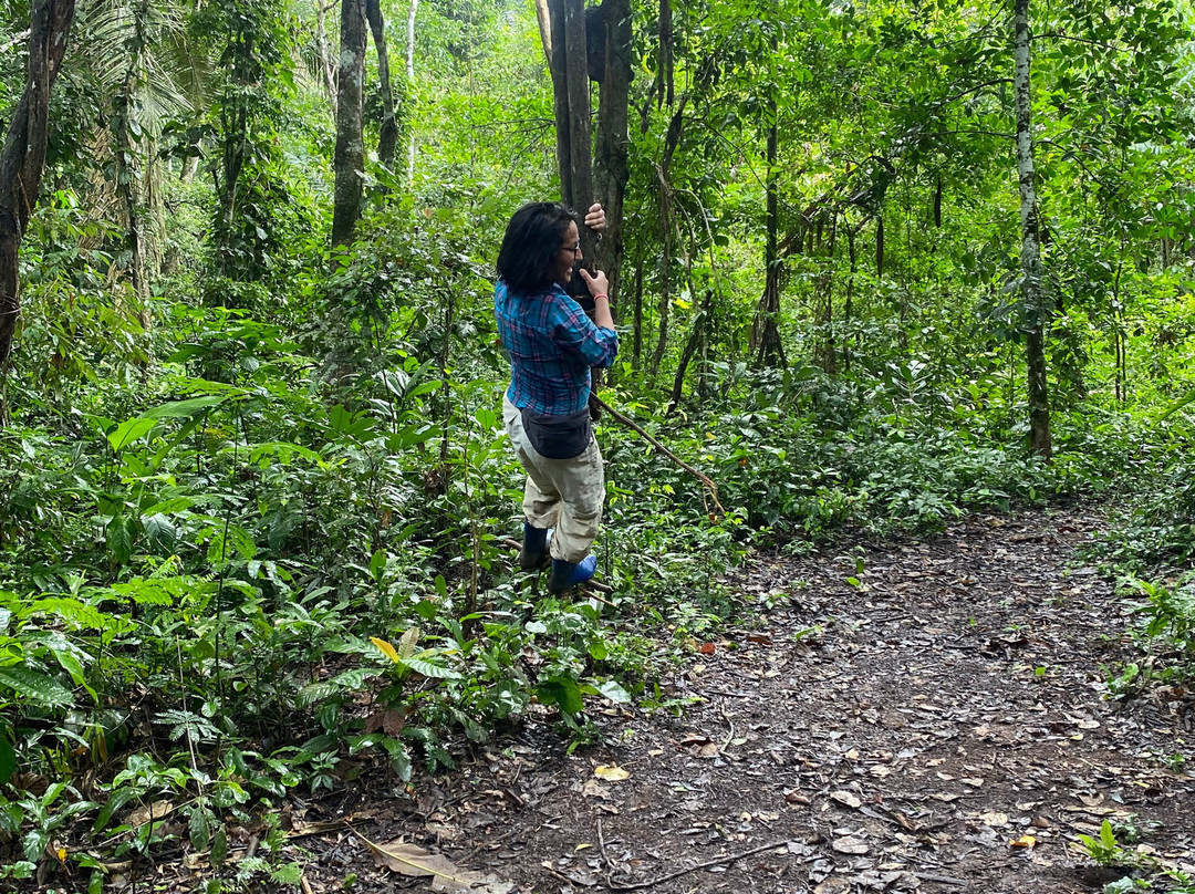 Escorpion Travels-Rurrenabaque必去景点