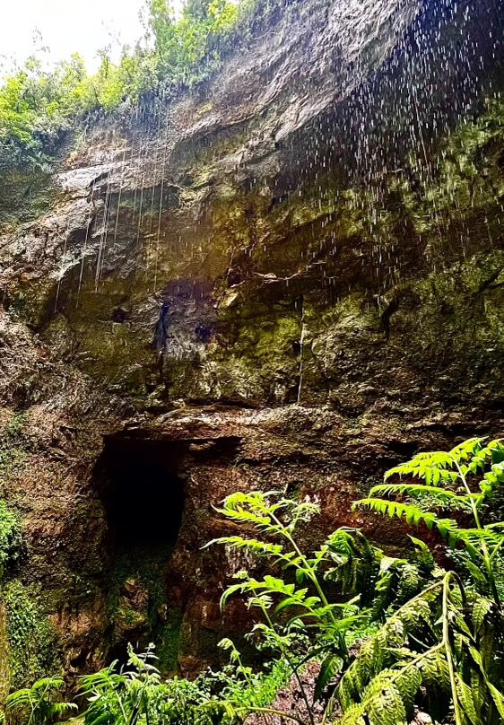 里约热内卢佳美洞公园 (Parque de las Cavernas del Rio Camuy)景点图片