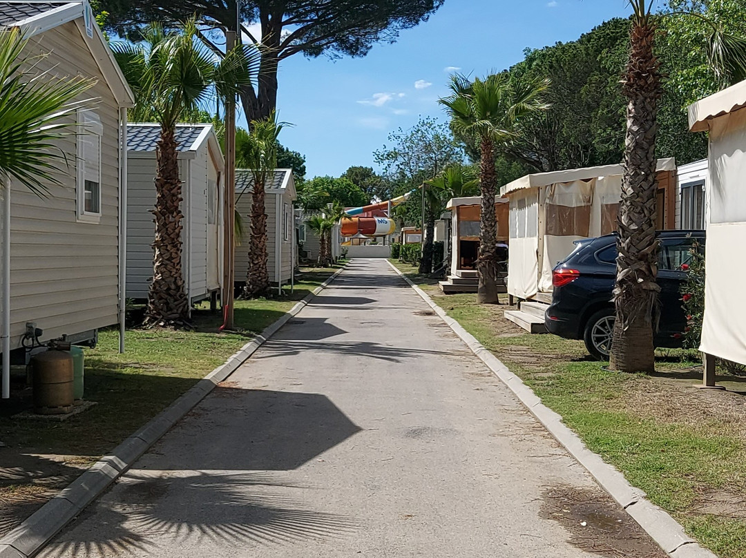 Camping Club Le Littoral - MS Vacances