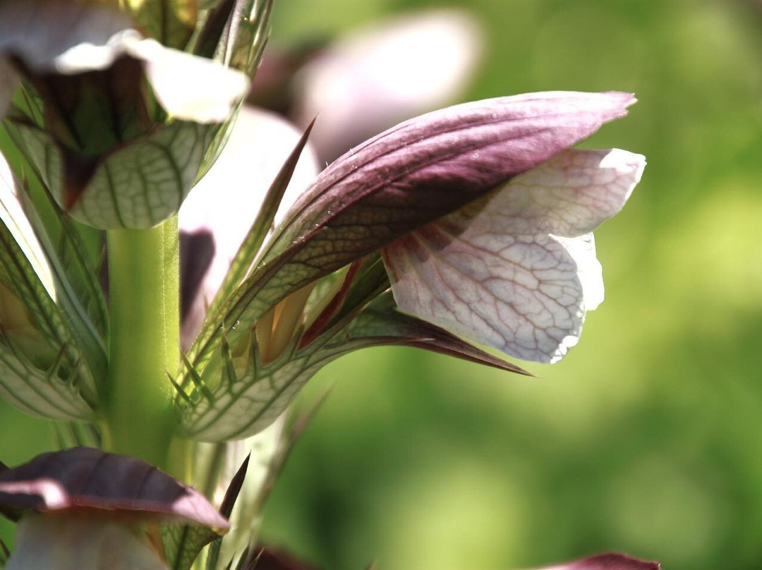 Darts Hill Garden Park-素里必去景点