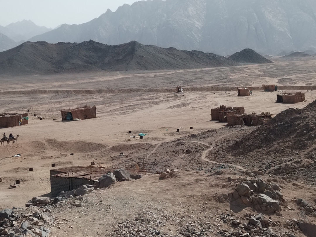 Scorpion Safari-赫尔格达必去景点