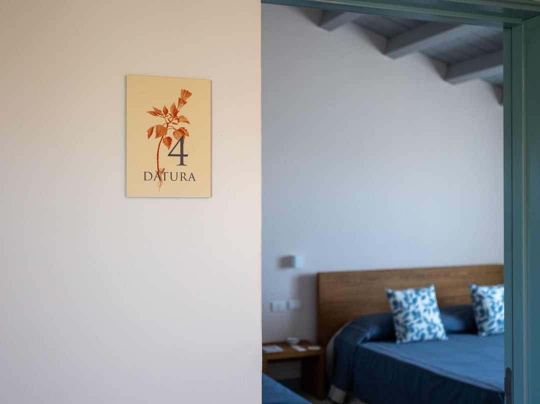 Country House - Planeta Estate主图