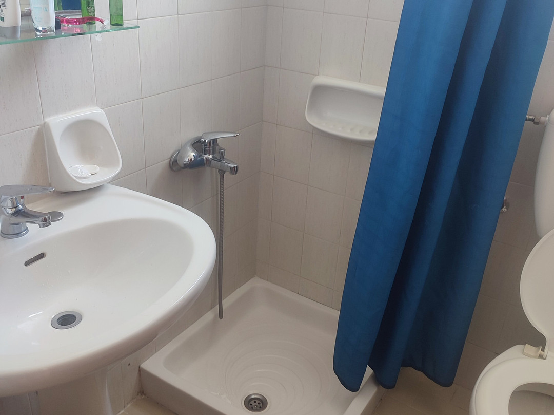 Sariza Spring Hotel主图