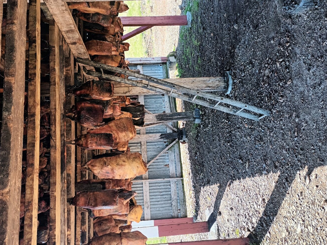 Bjarnarhofn Shark Museum-Bjarnarhofn必去景点