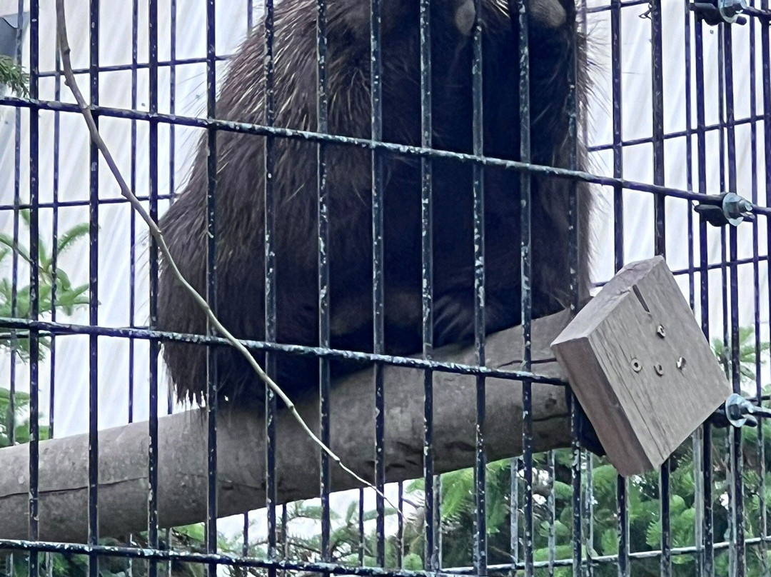 Kisma Preserve-Trenton必去景点