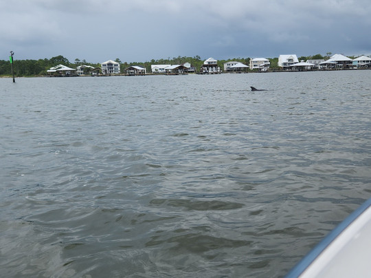 Gulf Island Charters-橙色海湾必去景点