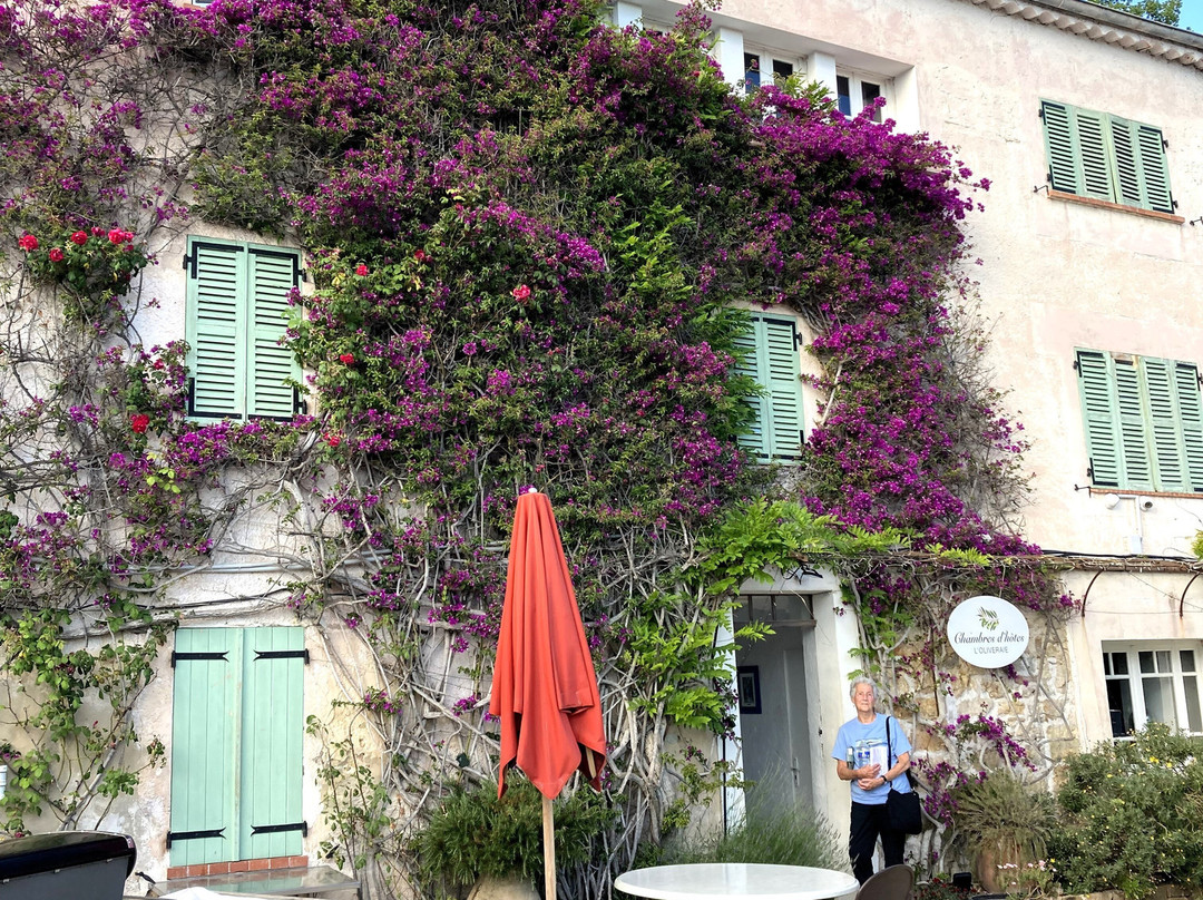 Les Chambres D'Hotes De L'Oliveraie