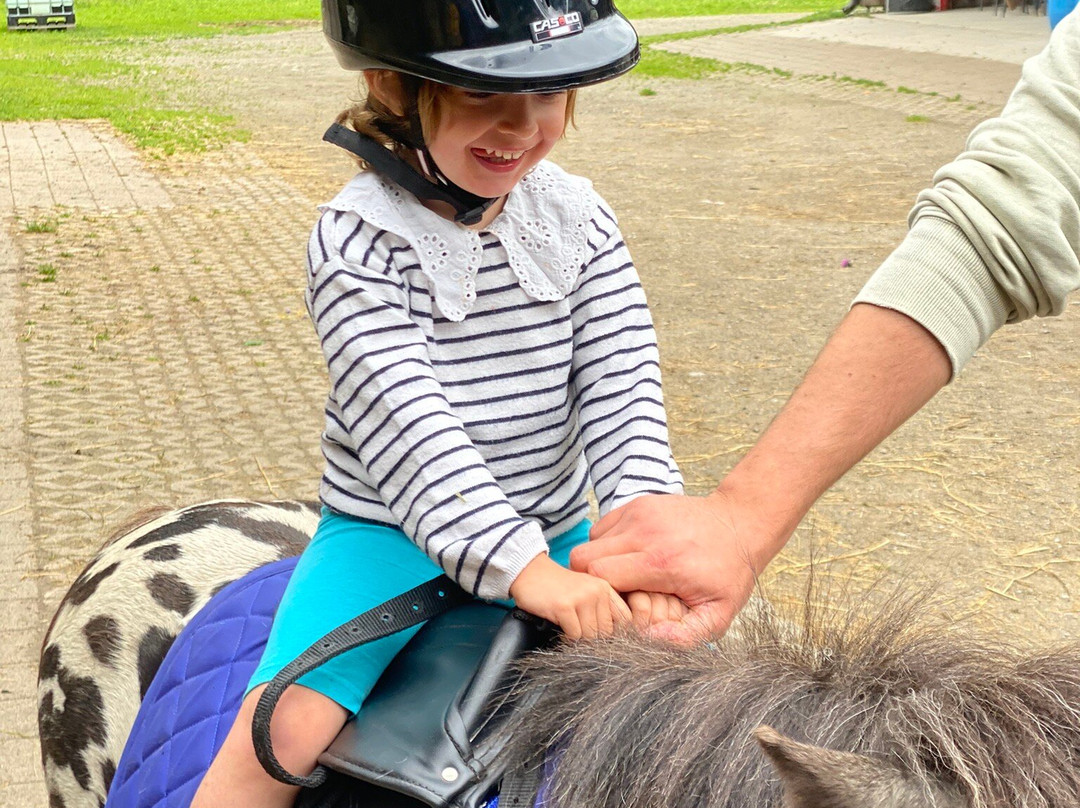 Familienhotel Viktoria主图