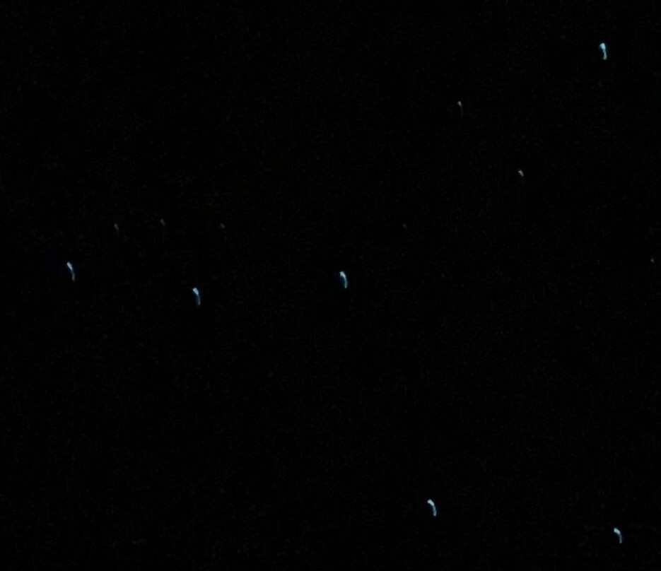 Footwhistle Glowworm Cave-怀托摩洞穴必去景点