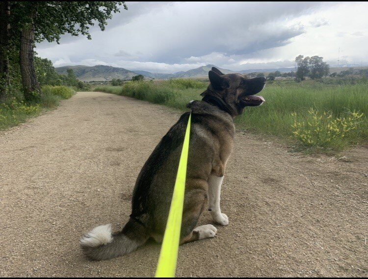 水牛城速8酒店主图