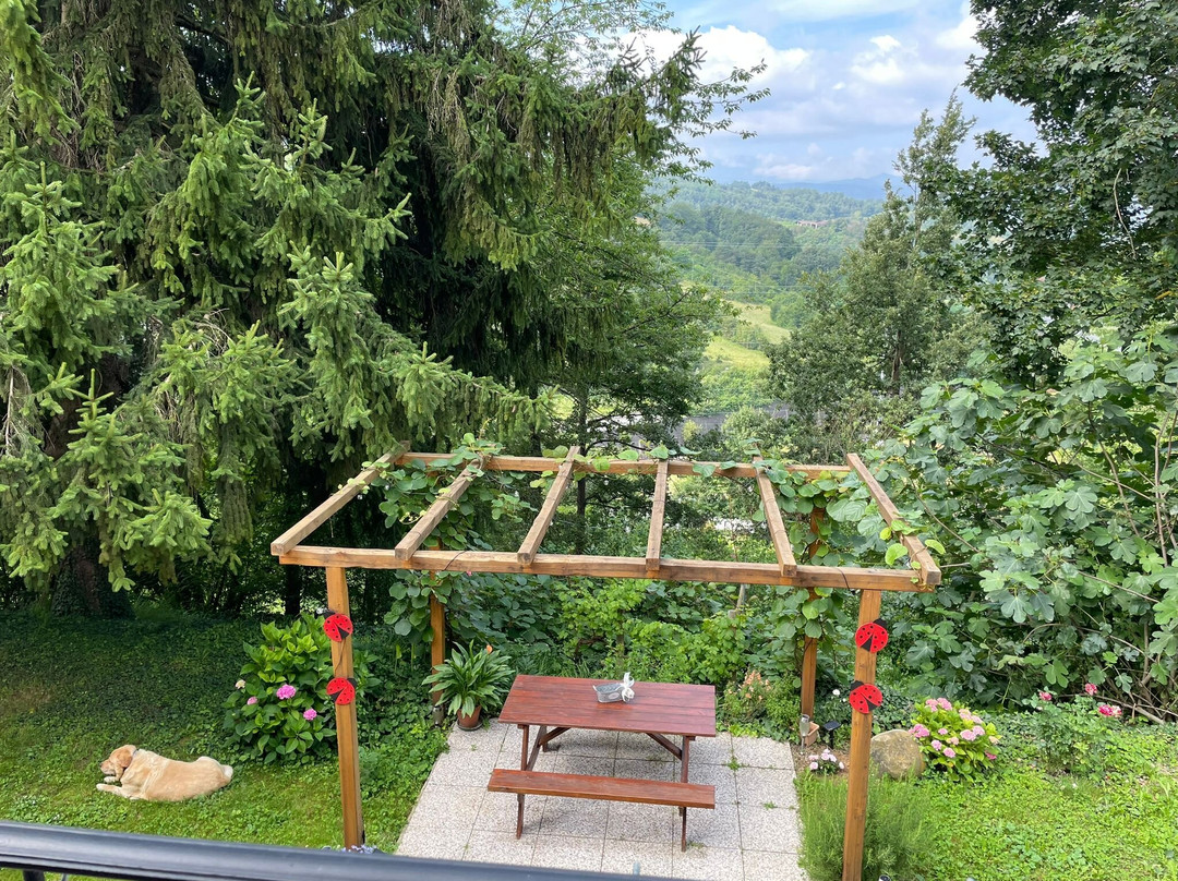 B&B Cascina Grattinera