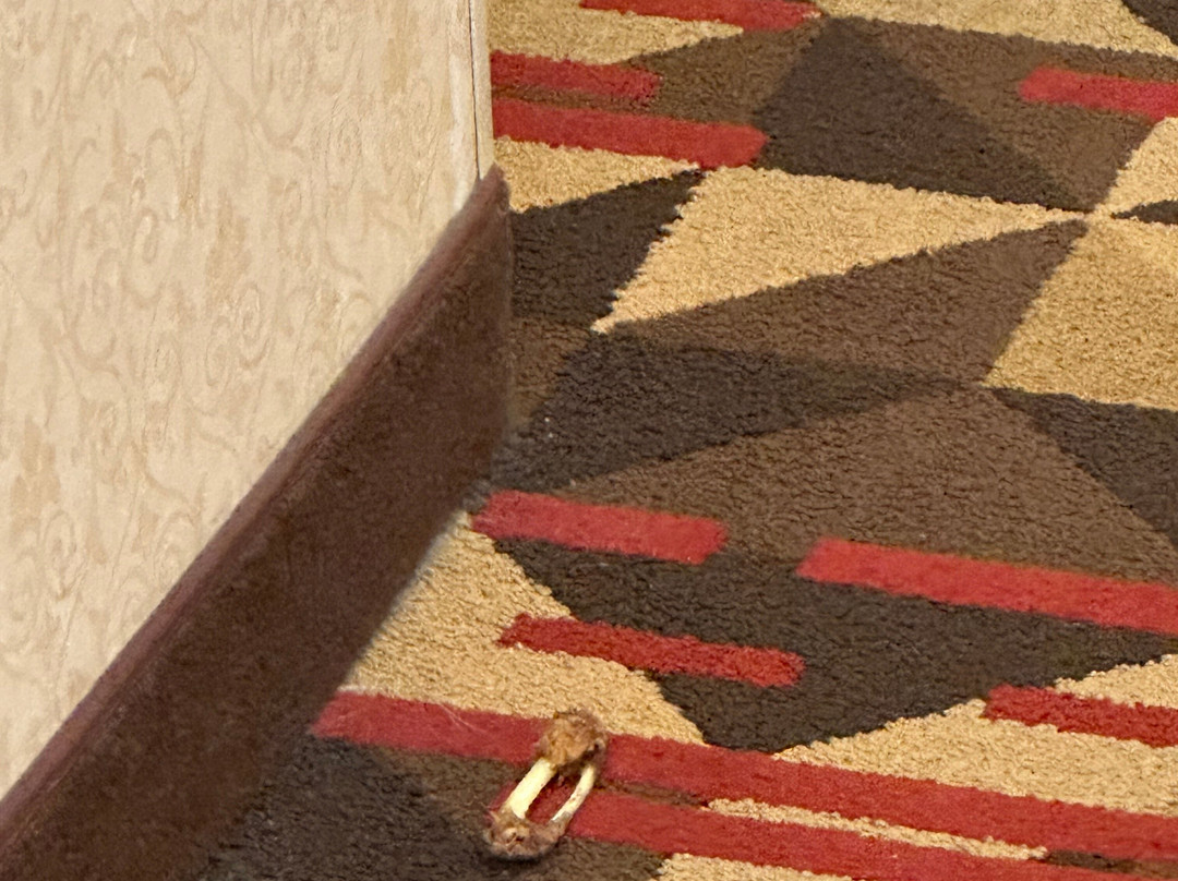 Hilton Garden Inn Las Cruces主图