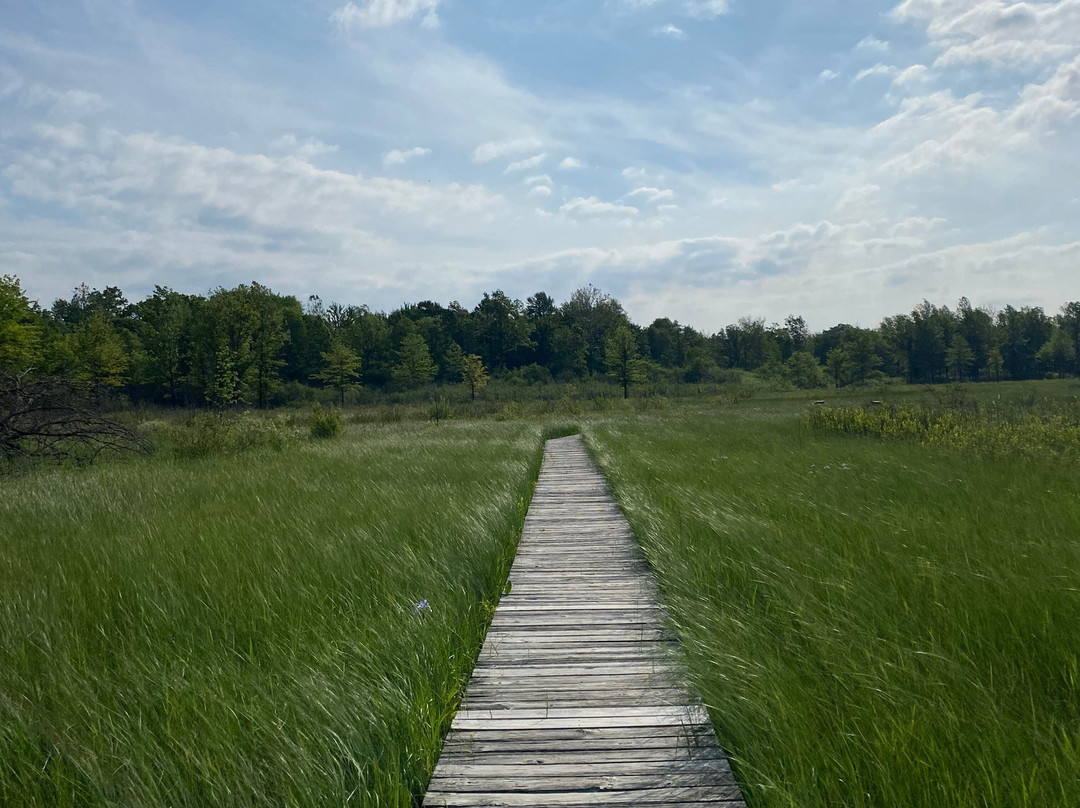 Irwin Prairie State Nature Preserve-托莱多必去景点