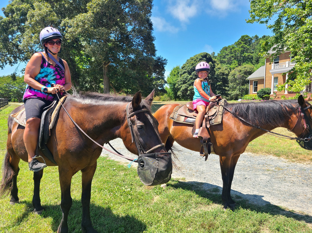 Queen Hive Farm-Assawoman必去景点