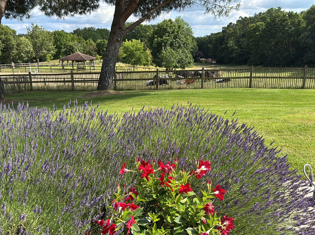 Domaine de La Valette主图