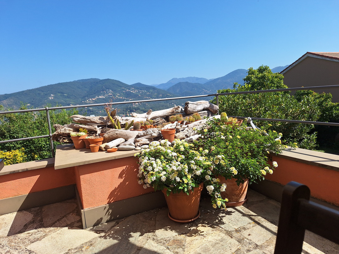 B&B Villa Ginestra主图